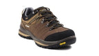 Rogue Trekking Shoe