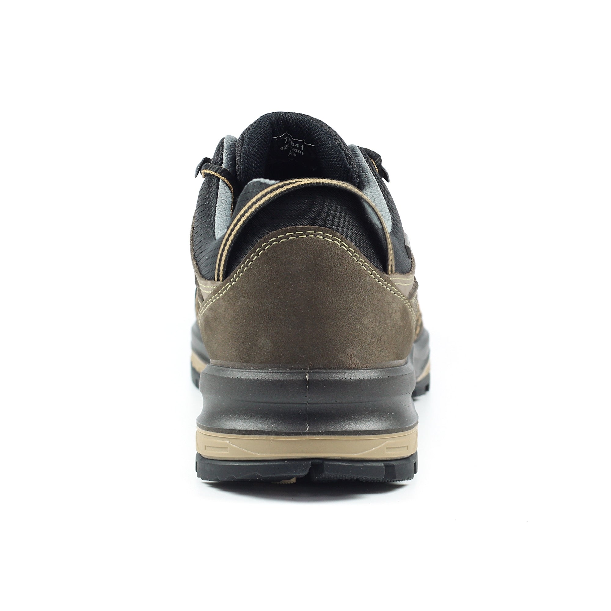 Rogue Trekking Shoe