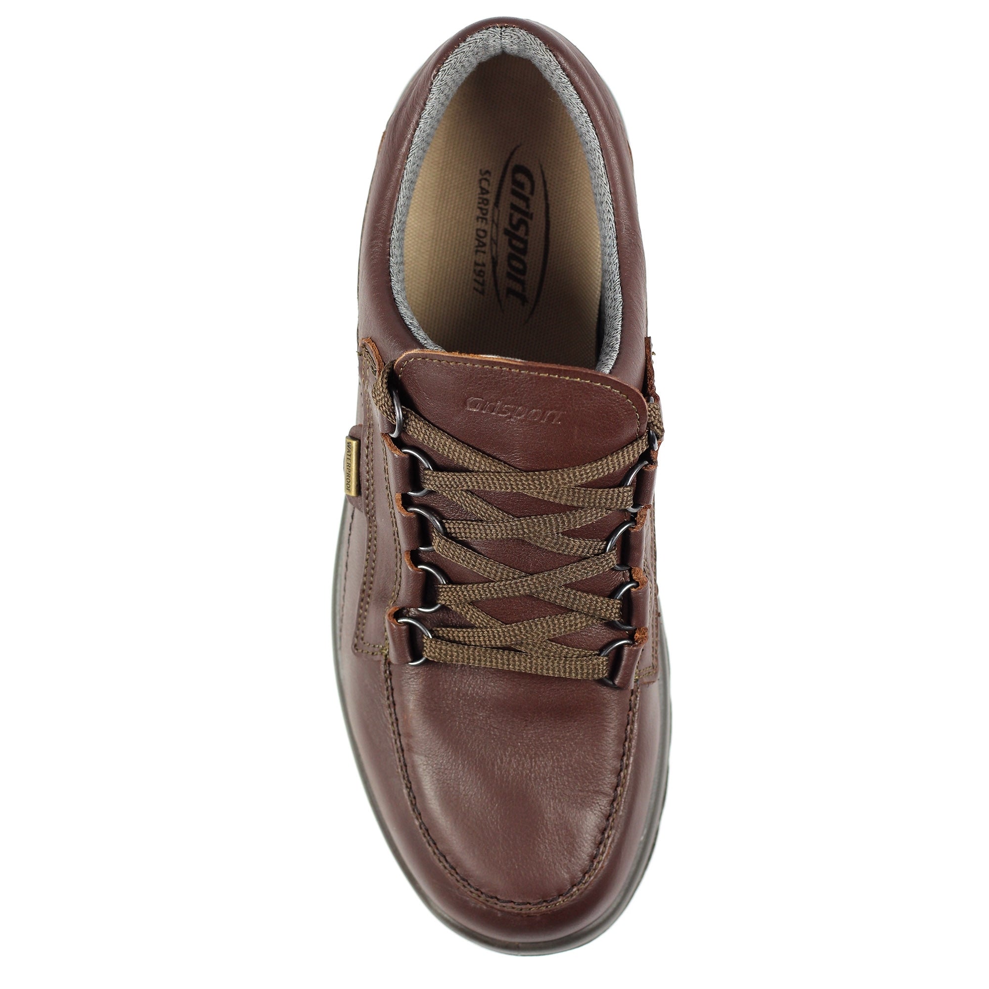 Kielder Walking Shoe