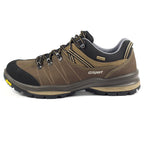 Rogue Trekking Shoe