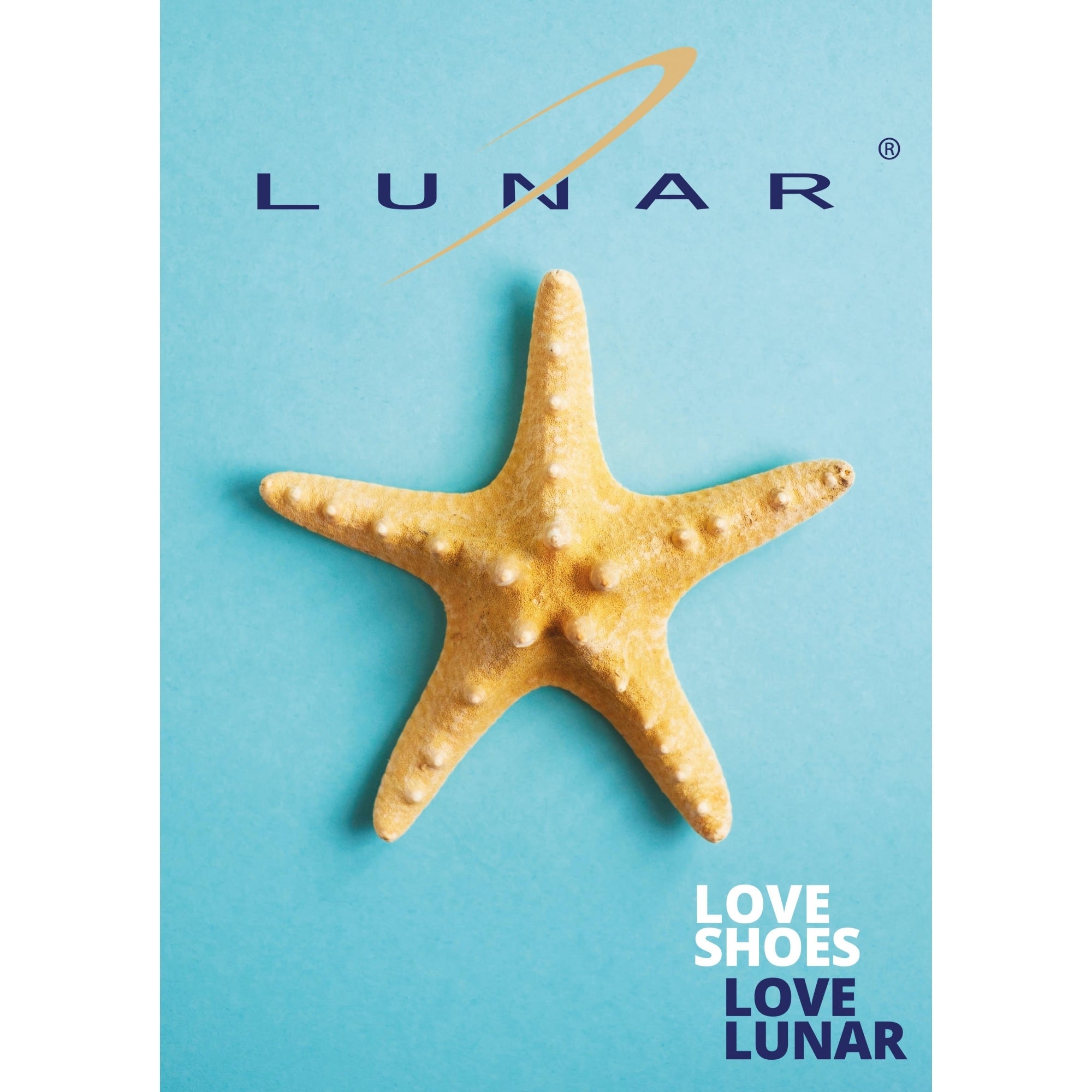 Starfish A4 Showcard
