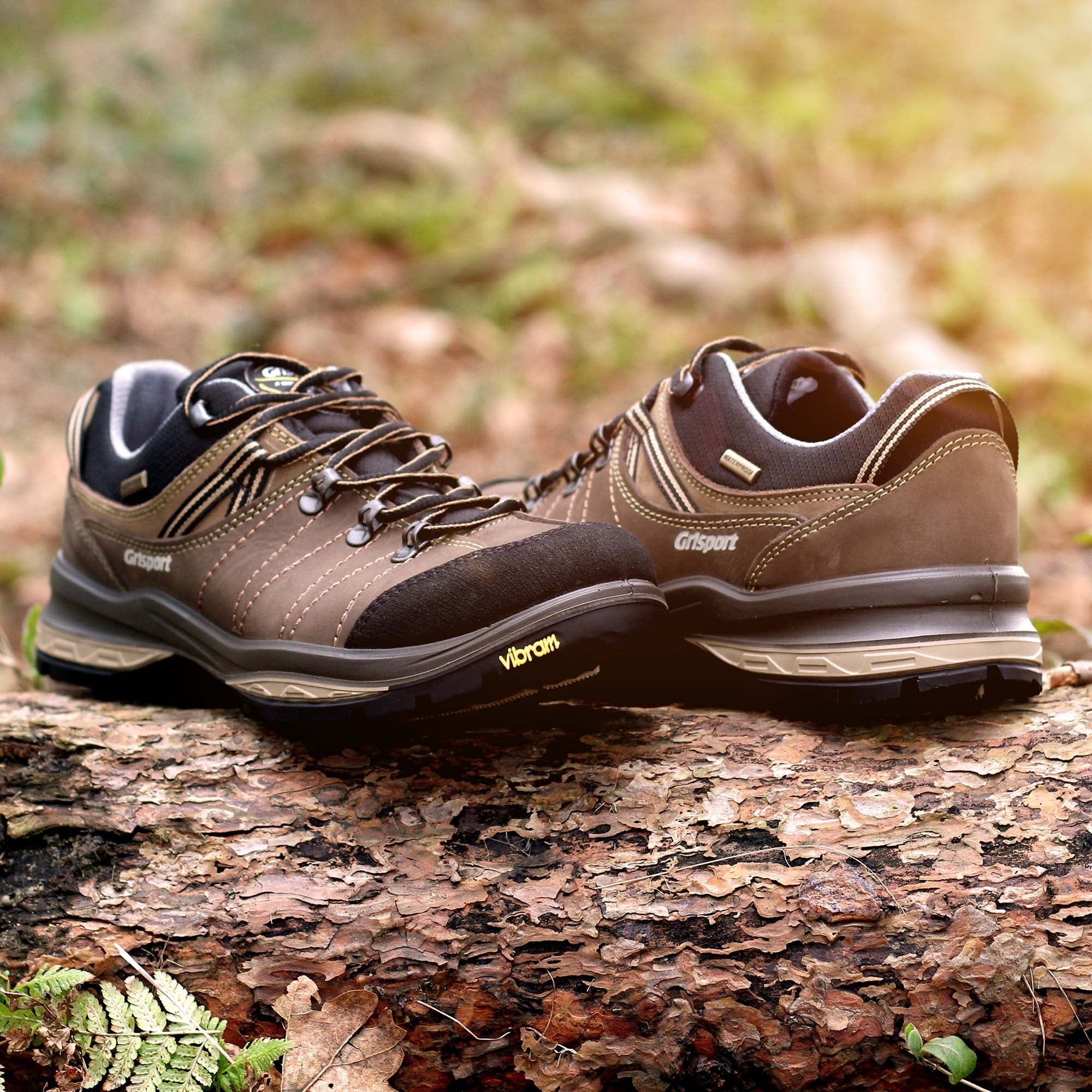 Rogue Trekking Shoe