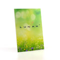 Lunar SS24 Flower A5 Showcard