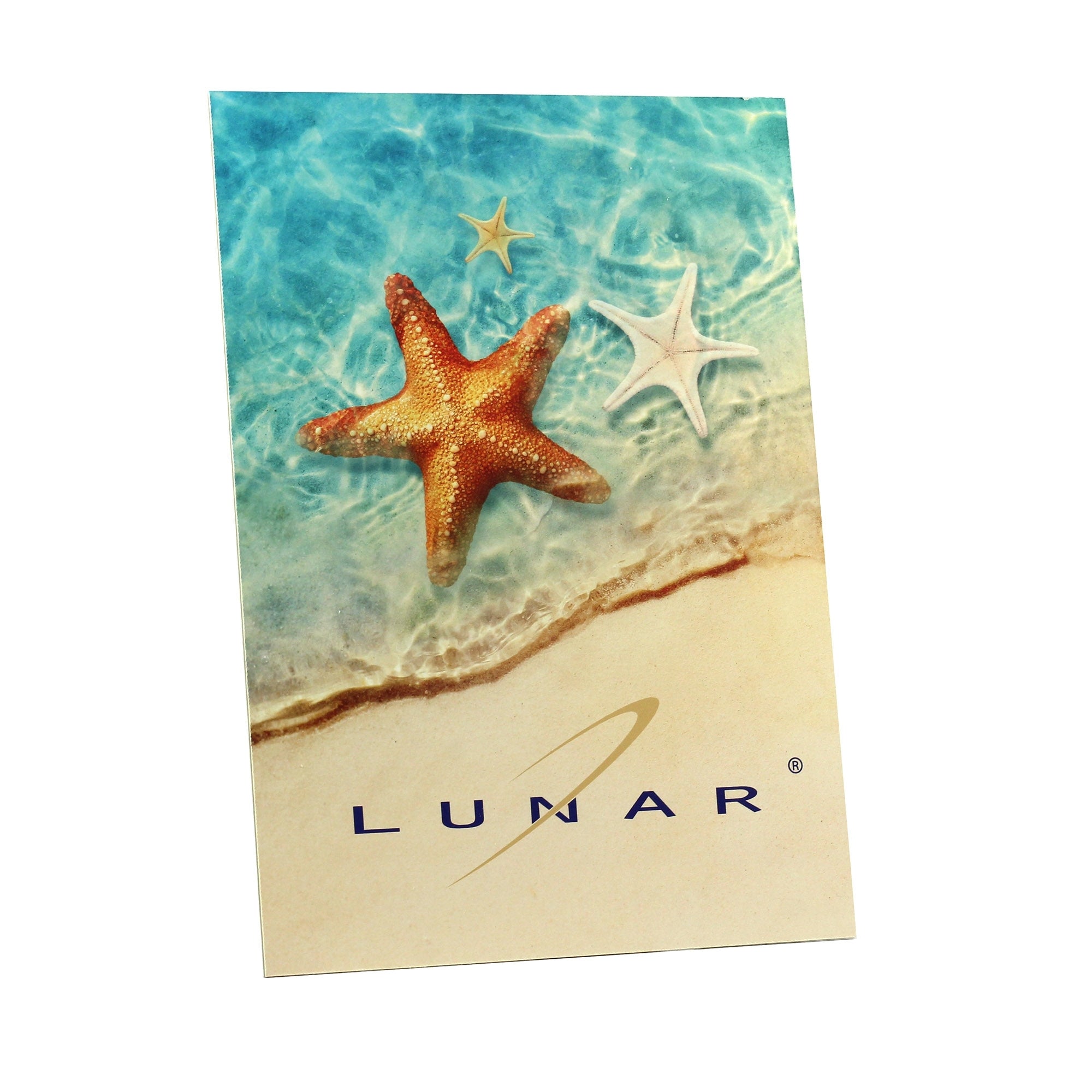 Lunar SS24 Beach A4 Showcard