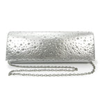 Argo / Alisha Silver Handbag