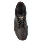 Exmoor II Brown Walking Shoe
