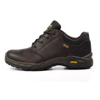 Exmoor II Brown Walking Shoe