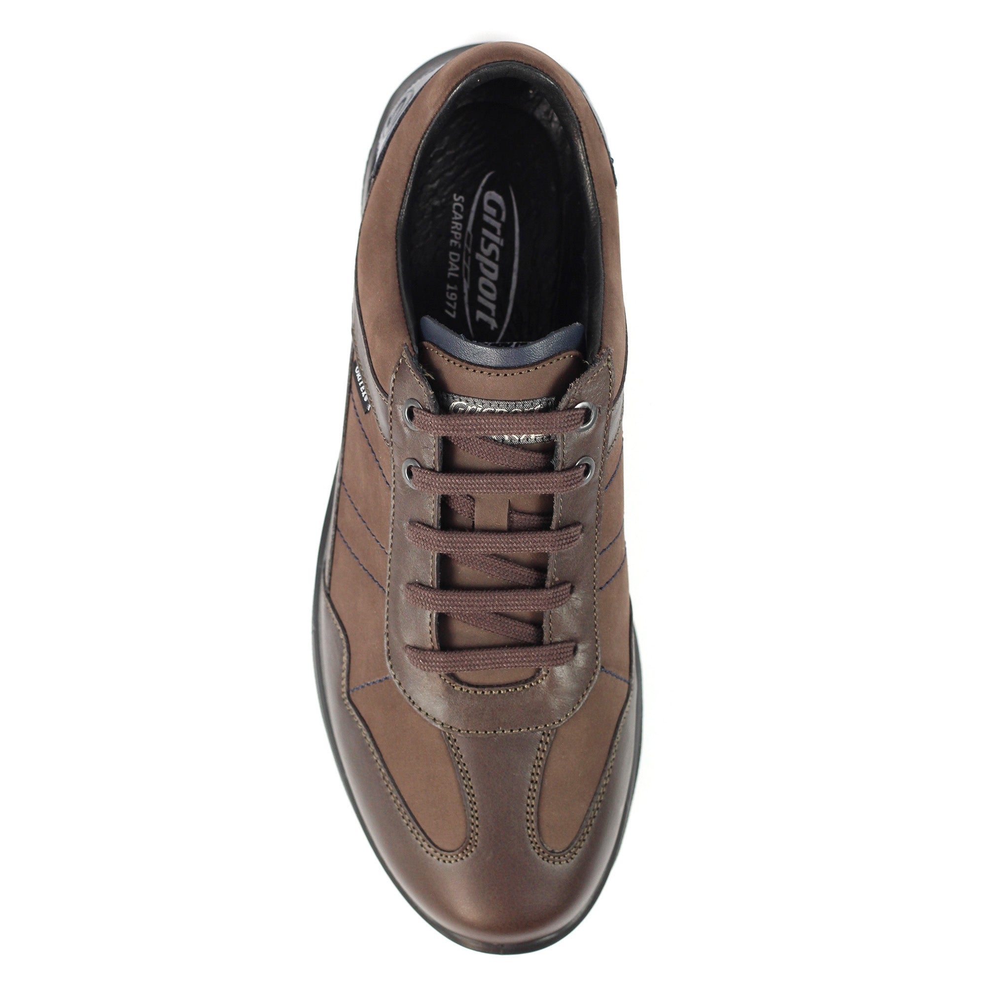 Patterdale Brown Active Shoe
