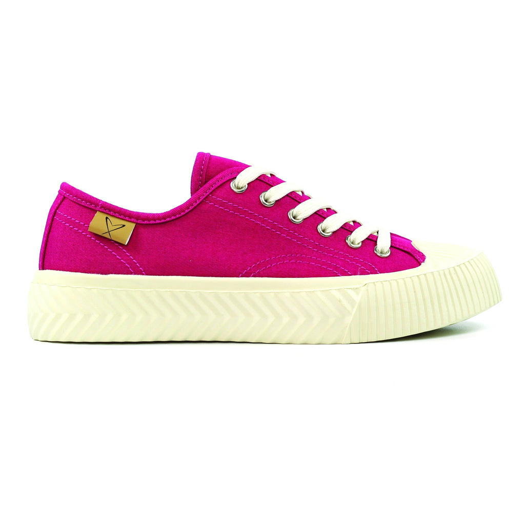 Jayne II Raspberry Trainer