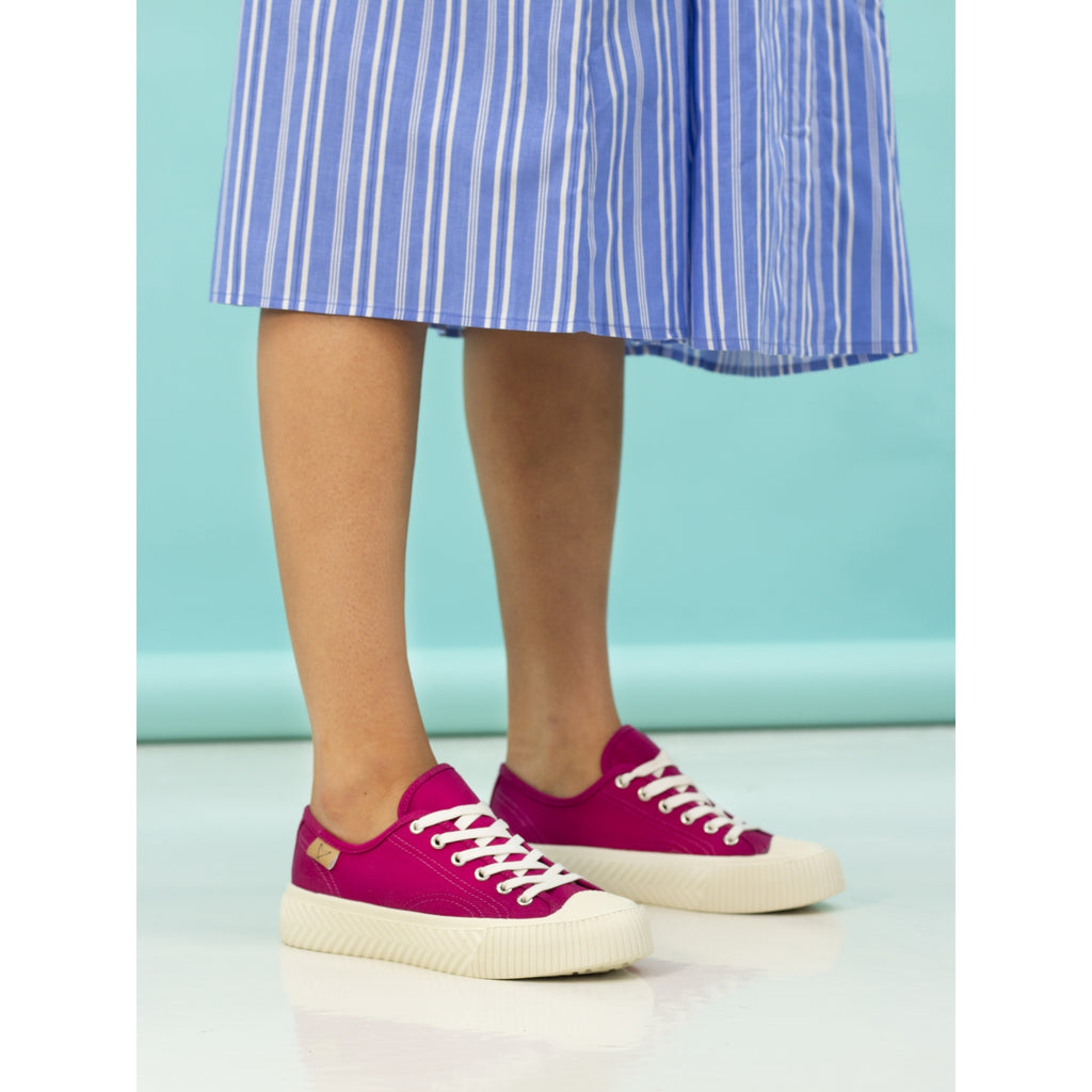 Jayne II Raspberry Trainer