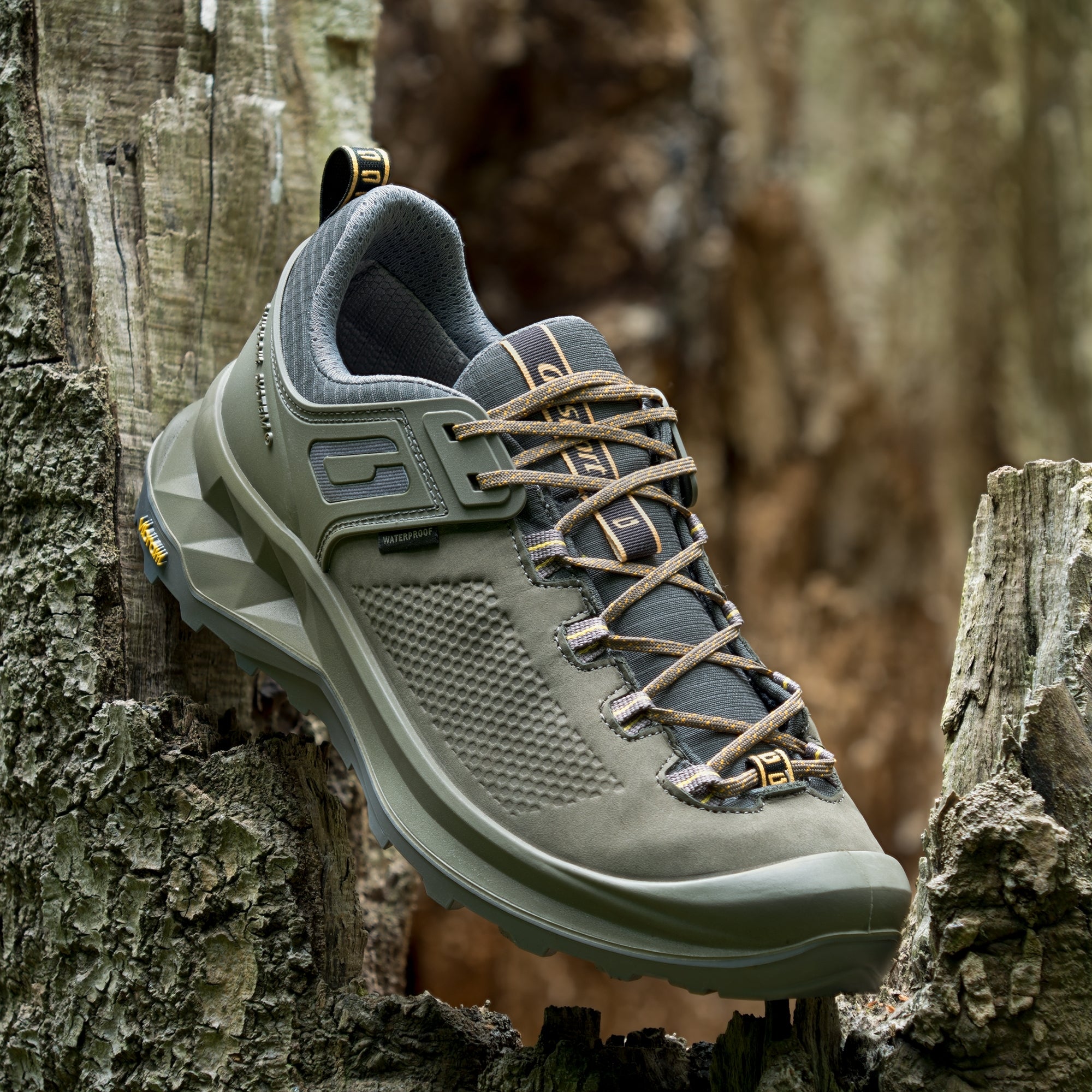 Vent Walking Shoe