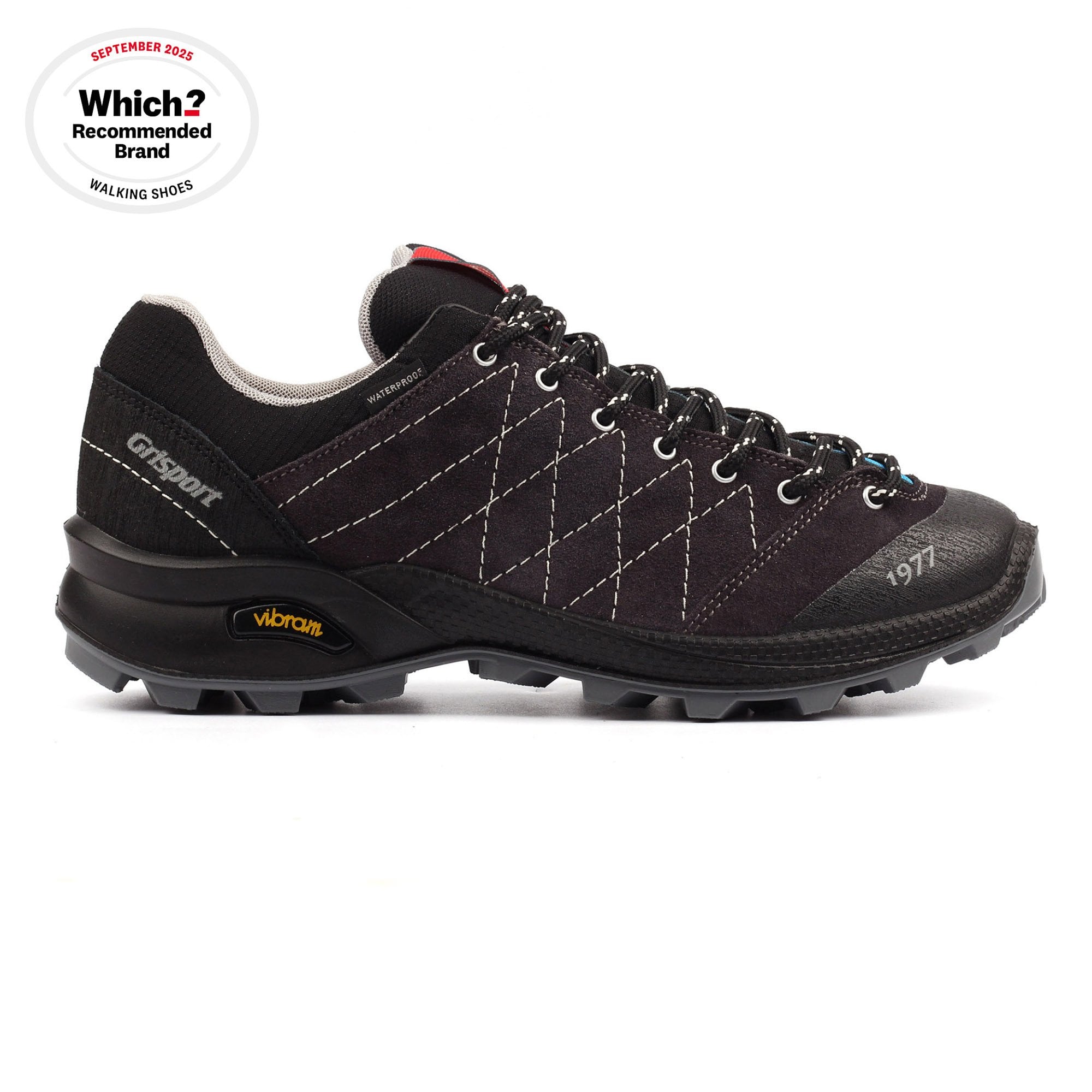 Argon Walking Shoe