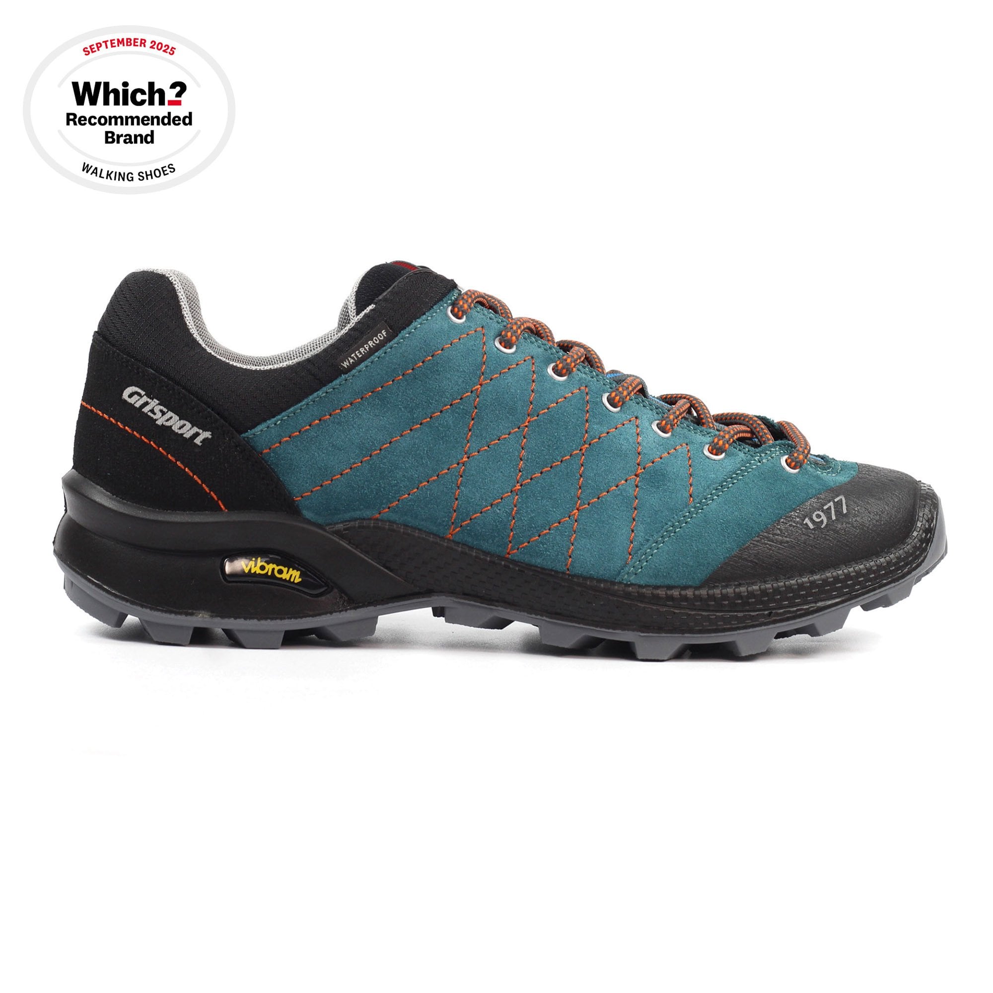 Argon Teal Walking Shoe