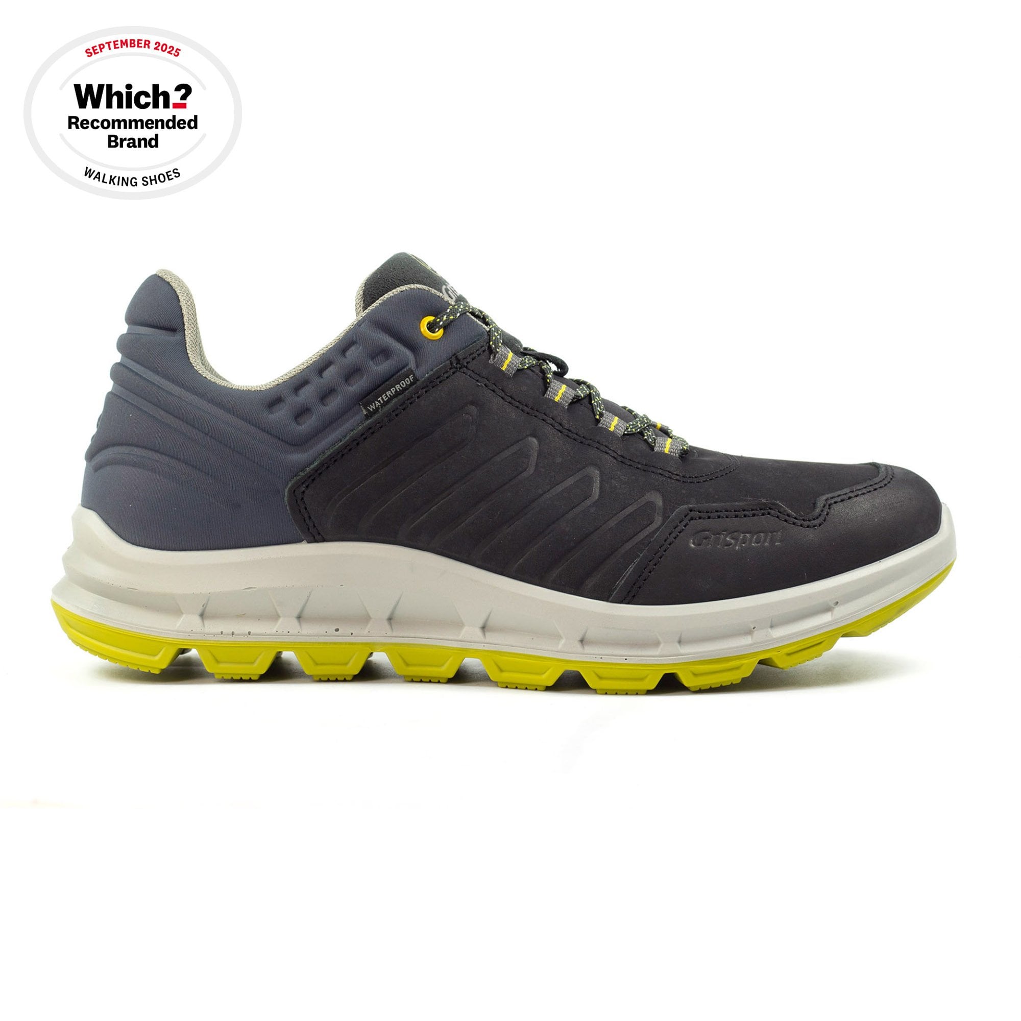 Challenger Blue Walking Shoe