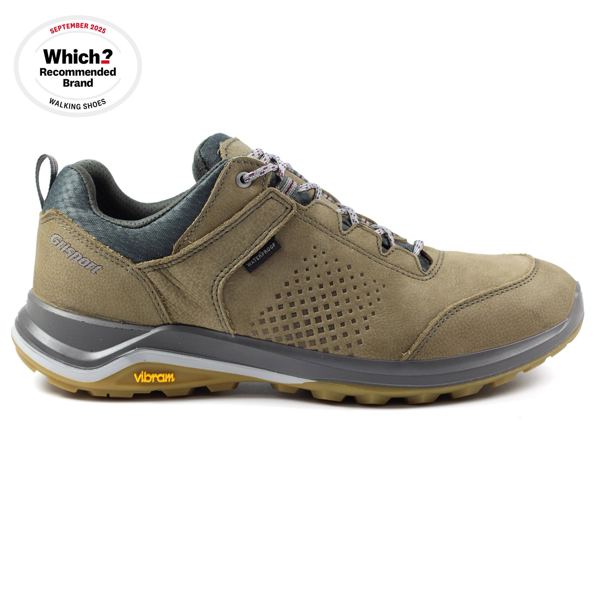 Icarus Walking Shoe