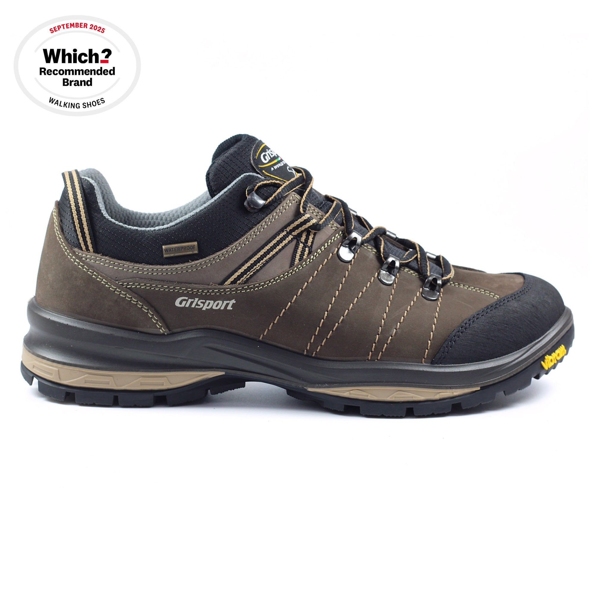 Rogue Trekking Shoe