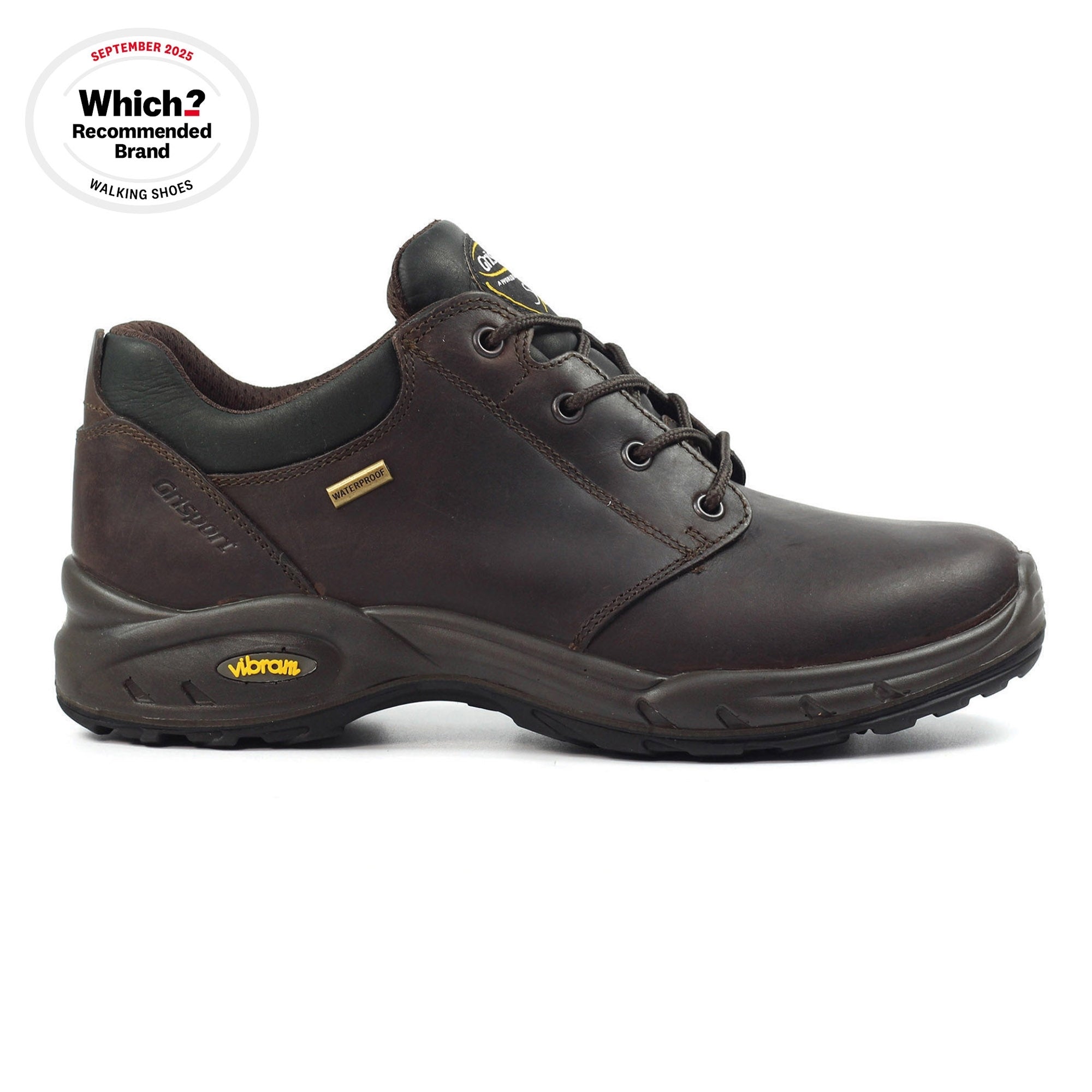 Exmoor II Brown Walking Shoe