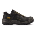 Worker Safety Shoe