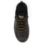 Worker Safety Shoe
