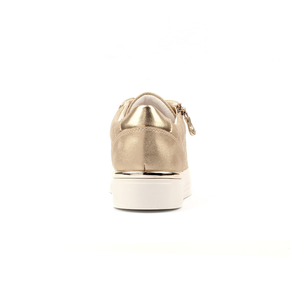 Xenon Gold Trainer