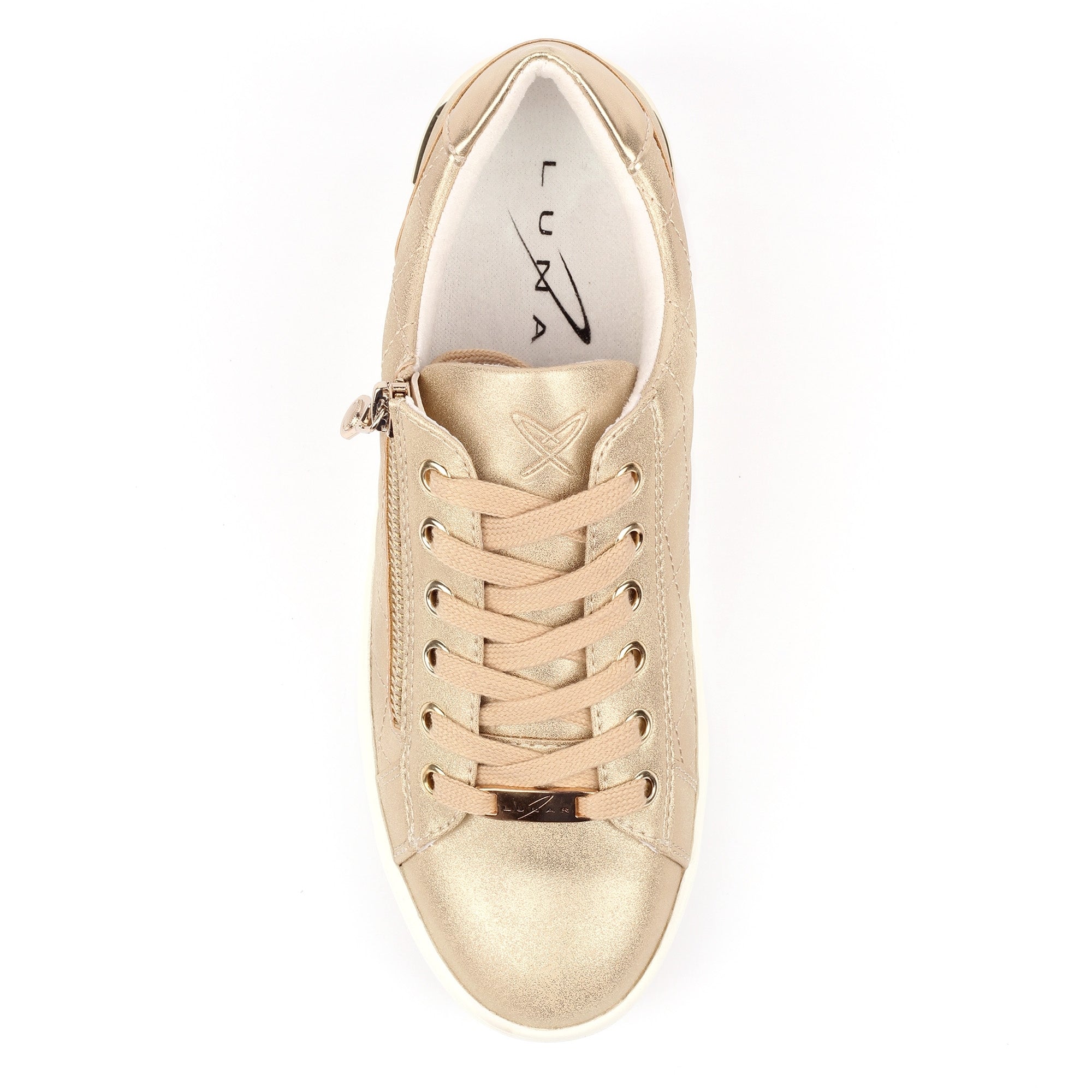 Xenon Gold Trainer