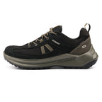 Raven Black Shoe