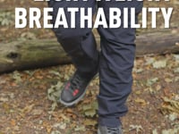 Renegade Walking Shoe