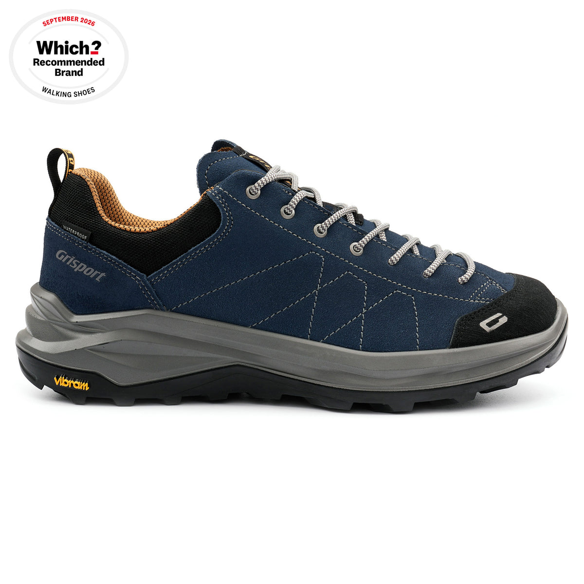 Elwood Blue Walking Shoe