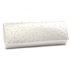 Argo / Alisha Silver Handbag
