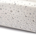 Argo / Alisha Silver Handbag